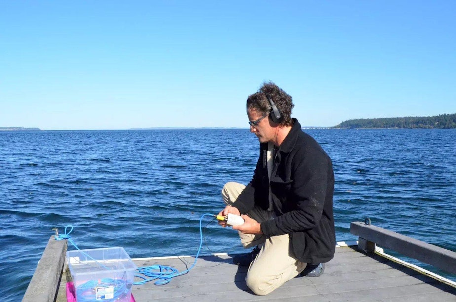caption: Oceanographer Scott Veirs sets up a hydrophone to listen to ships and orcas at Bush Point, Whidbey Island, in 2018.