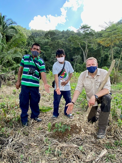 caption: Chris Morgan (right) shows off a newly planted tree that will provide food for scarlet macaws along with Florentino Sub (left) and his son Rojilio (center)