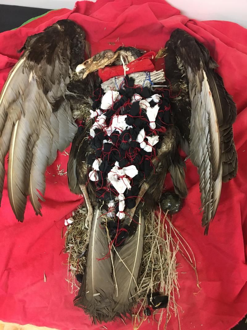 caption: The buzzard, full of bundled fears.
