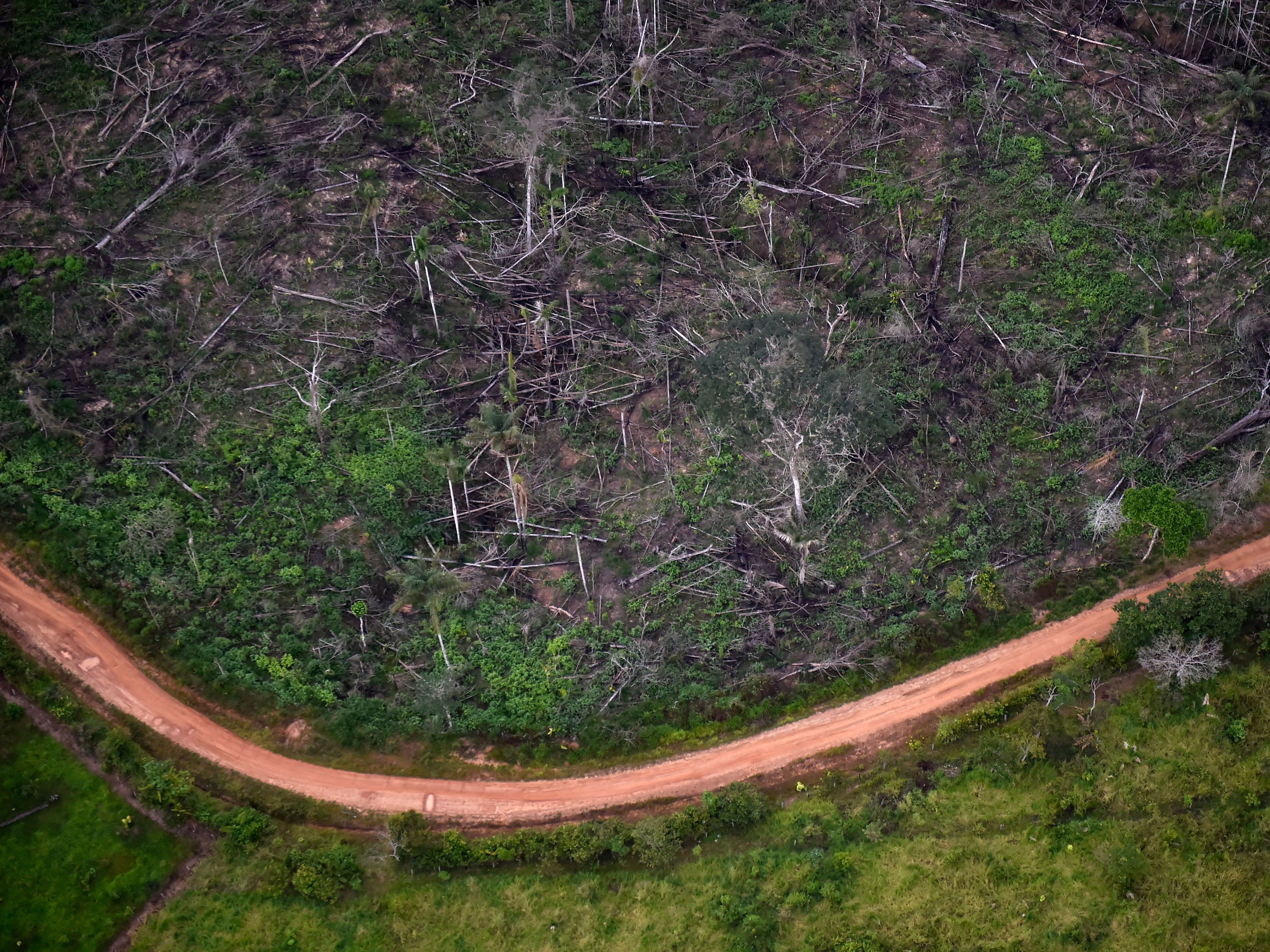 caption: Aerial view of illegal deforestation at the Natural National Park in La Macarena, Meta Department, Colombia, in 2020.