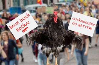 caption: Collage of a chicken with its wings outstretched, seeming to hold signs that read "Bock bock bocka" and "Cockadoodle DO BETTER." A protest is blurred but visible in the background. Photos courtesy of and Canva.