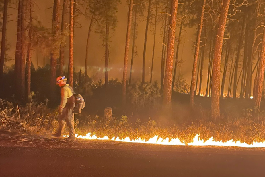 caption: Firefighters battle the Gray Fire, Saturday, Aug. 19, 2023. At the time, officials described the fire as "erratic." 