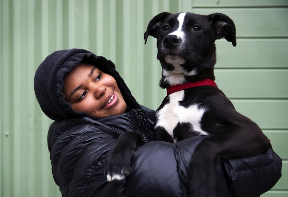 KUOW - How do you get a homeless young person into a clinic? Treat their pet