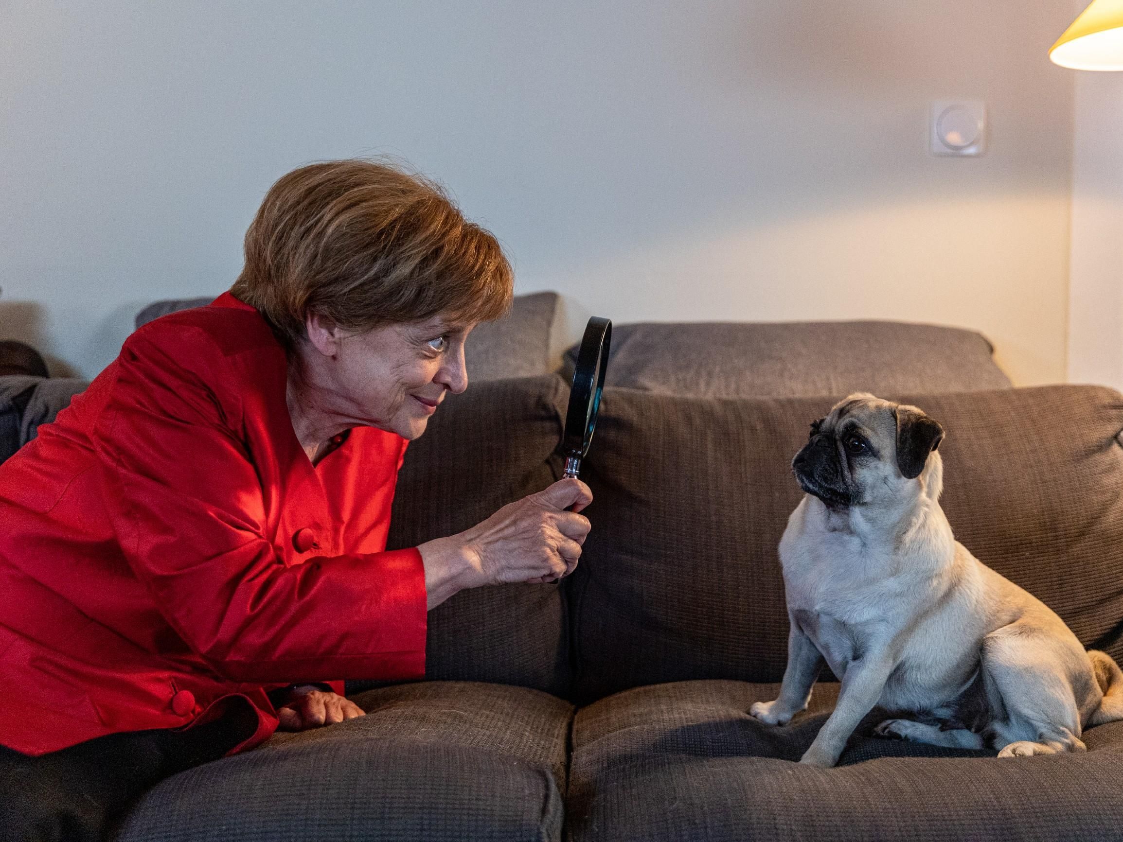 caption: In a scene from the German TV series <em>Miss Merkel</em>, actress Katharina Thalbach, playing the amateur detective based on the former German Chancellor Angela Merkel, takes a closer look at her pug Helmut.