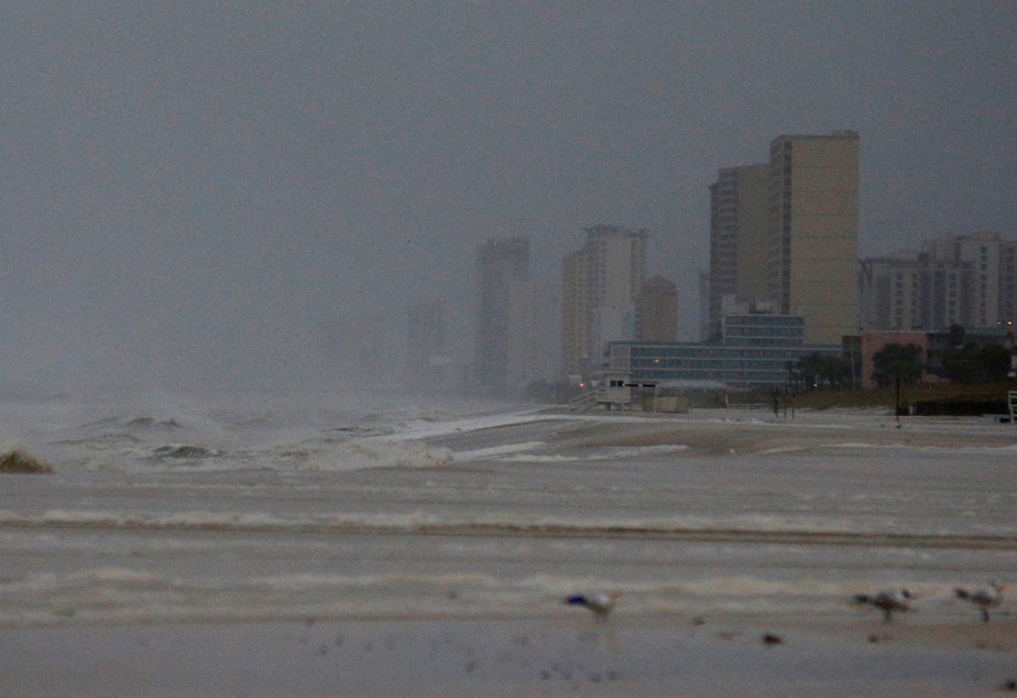 Kuow Incredibly Dangerous Hurricane Michael Nears Florida