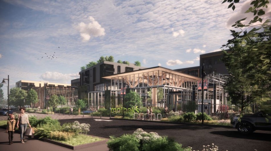 caption: This is a rendering of what was supposed to be the new Molbak's at the center of The Gardens District in Woodinville. 