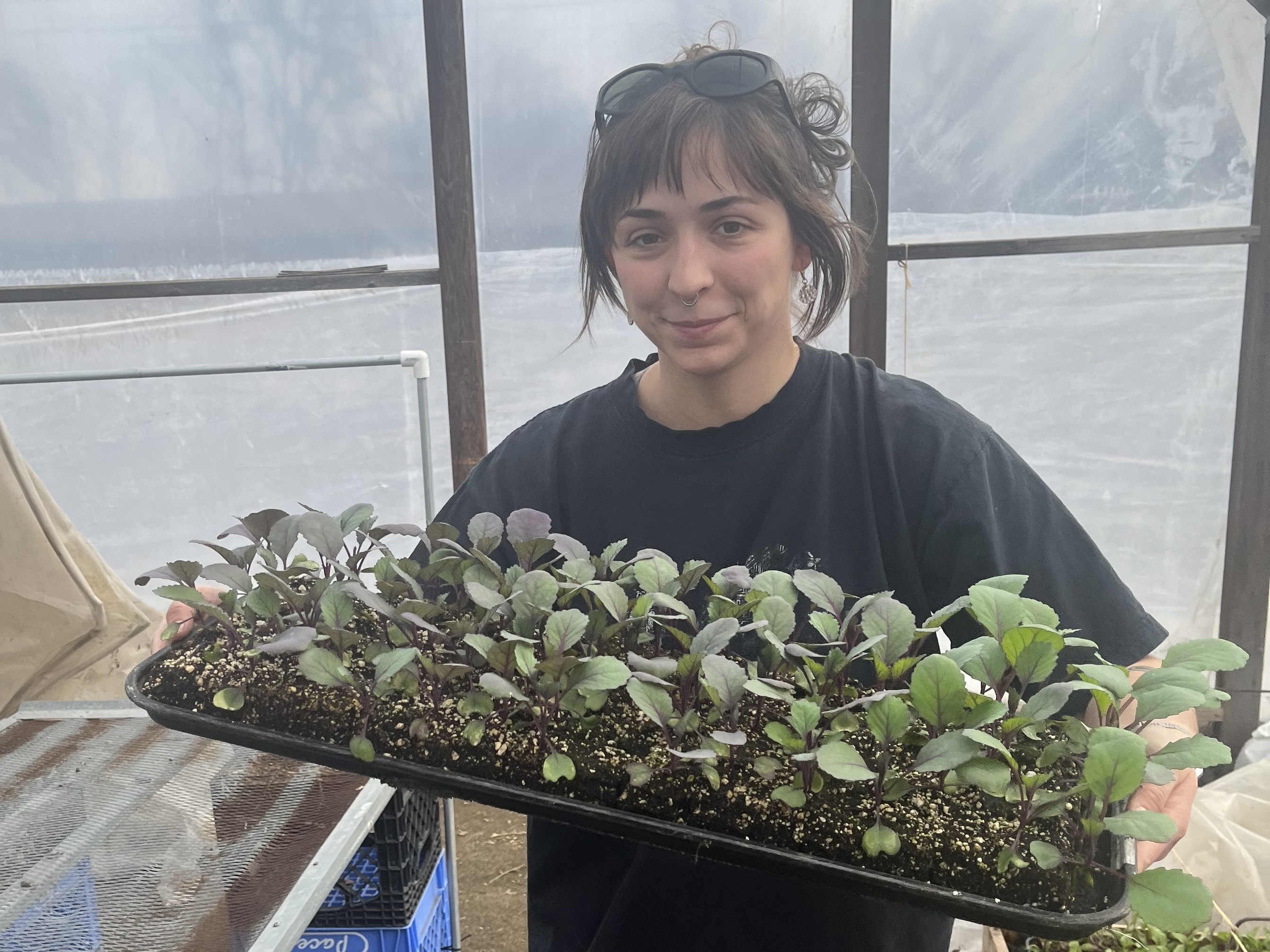 caption: Grace Wertanen, the "seedling intern" at Growing Hope Urban Farm in Ypsilanti, Mich. carries a tray of soil blocked plants