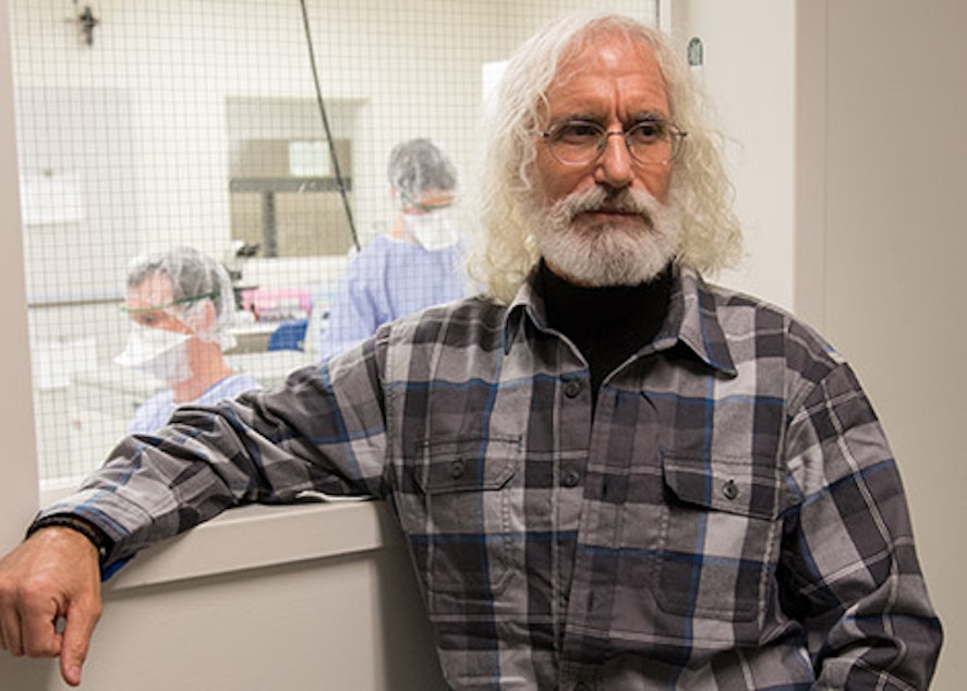 caption: Dr. Phil Greenberg, head of the immunology program at Fred Hutchinson, is a co-founder of Juno Therapeutics, a commercial venture.