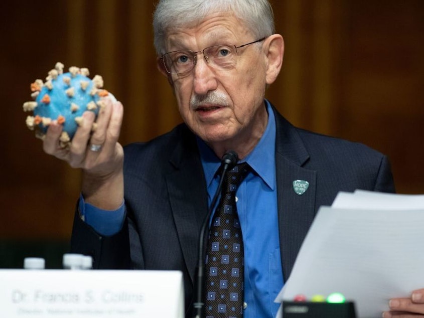 caption: Director of the National Institutes of Health, Dr. Francis Collins, holds a model of the coronavirus. This is the sixth vaccine candidate to join Operation Warp Speed's portfolio, and the largest vaccine deal to date.