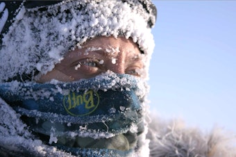 caption: Ida Olsson looks out on an expanse of Polar Ice below zero