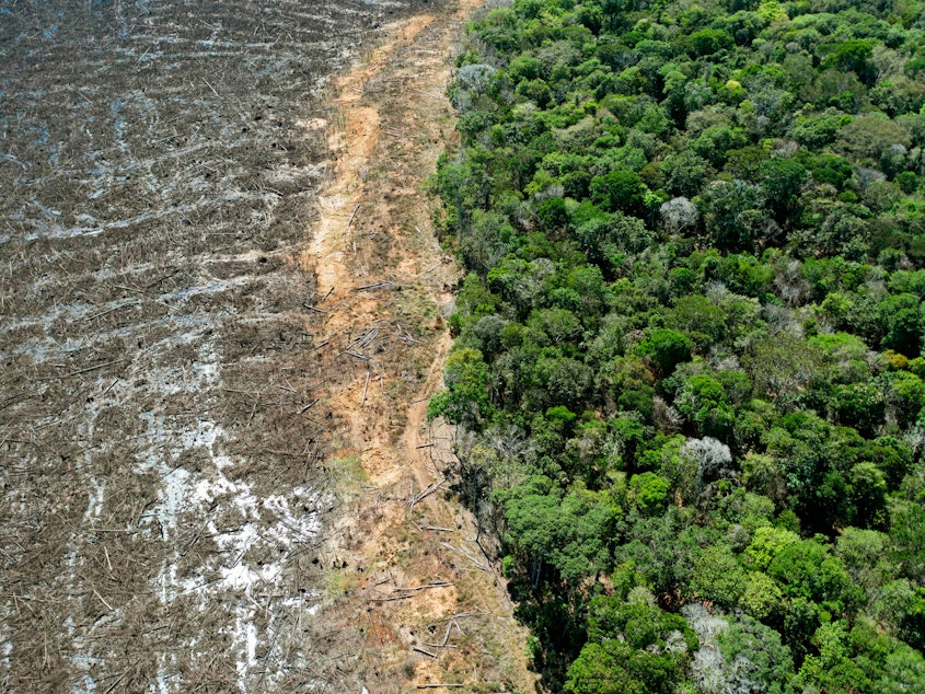 caption: Aerial picture of a deforested area close to Sinop, Mato Grosso State, Brazil, taken on August 7, 2020. Mato Grosso is one of the leading producers of soybeans in the world.