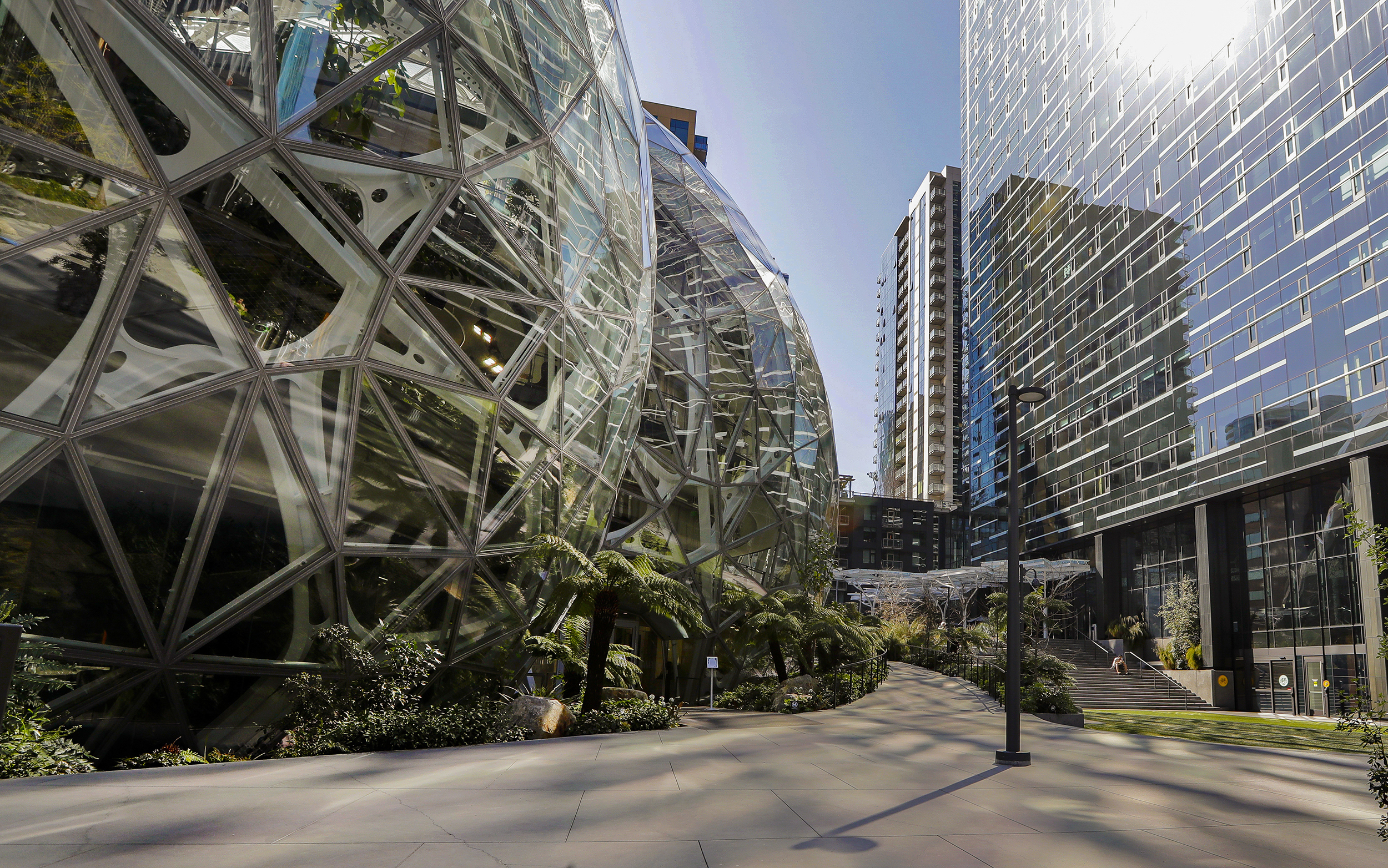 caption: FILE - The light reflects off the glass facade of a building on the Amazon campus outside the company headquarter on March 20, 2020, in Seattle.  
