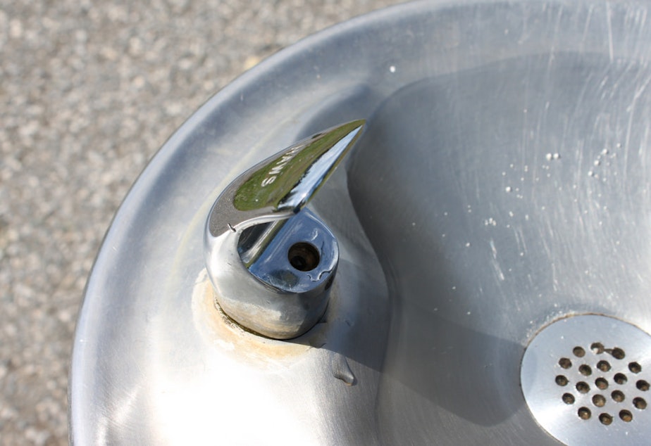 caption: A recent analysis found 41 Seattle Public Schools had at least one water source with unacceptable levels of lead