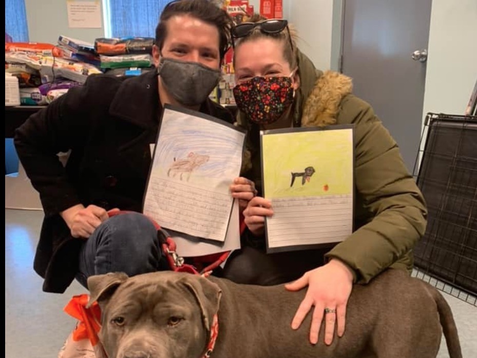 caption: This dog was adopted after the persuasive writing assignment.