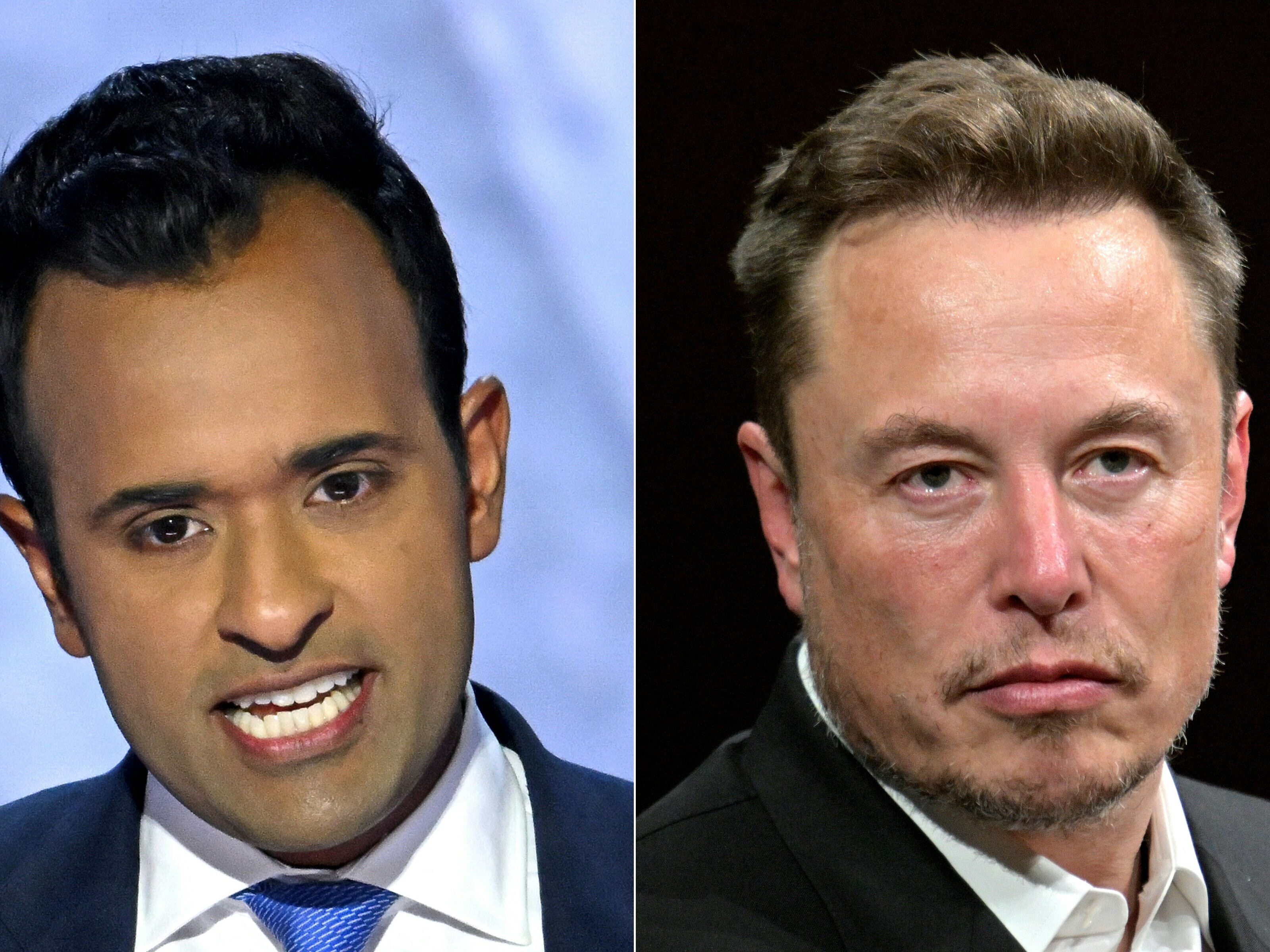 caption: (COMBO) This combination of pictures created on November 12, 2024 shows Vivek Ramaswamy (L)  and Tesla and SpaceX CEO Elon Musk (R). President-elect Donald Trump on November said Musk will lead a so-called Department of Government Efficiency alongside American entrepreneur Ramaswamy.