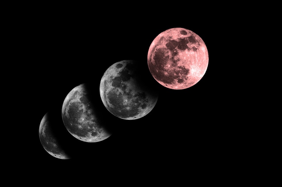 caption: Phases of the moon during a lunar eclipse (in Sagittarius, in case you were wondering).