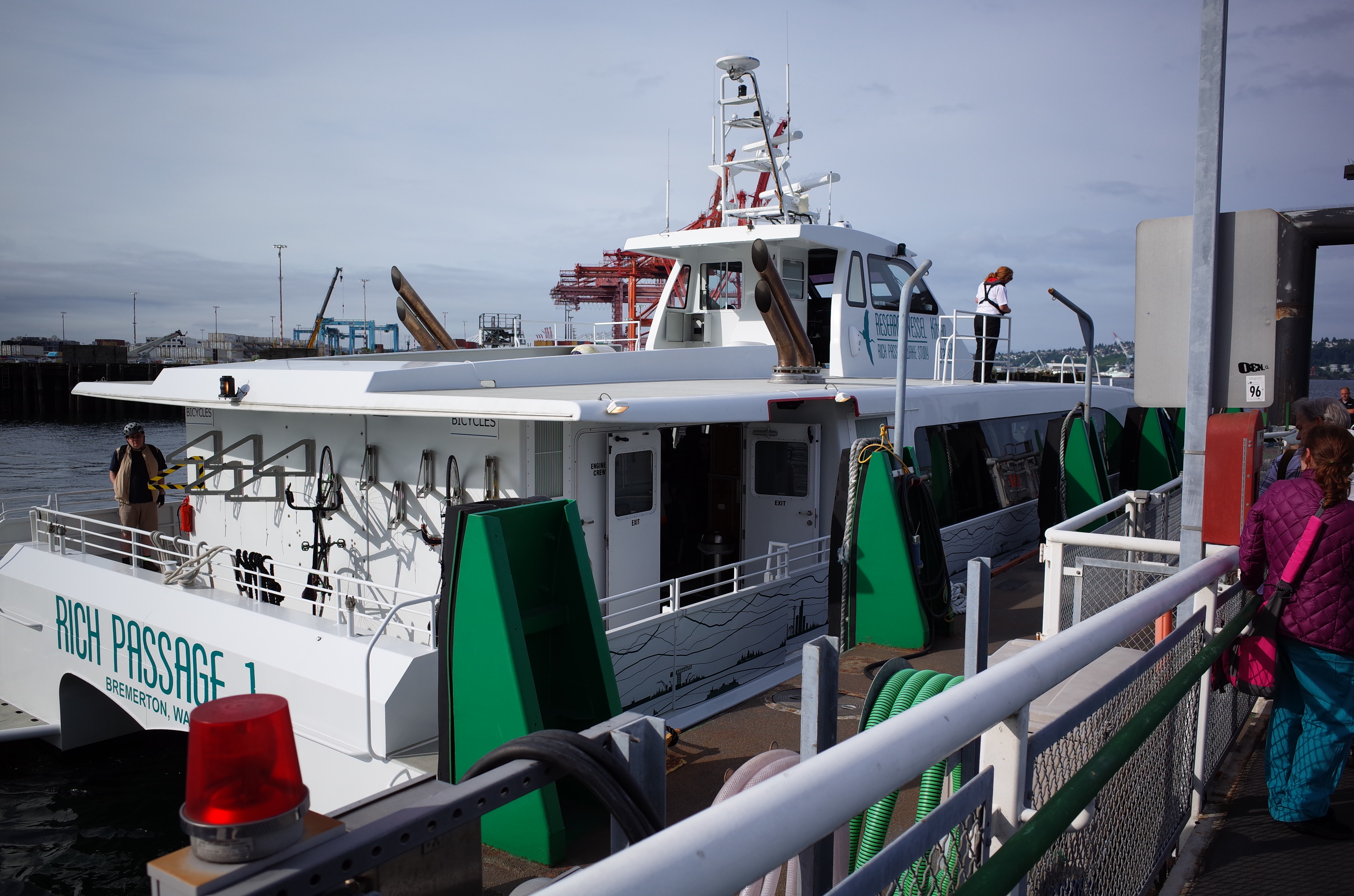 can we take dogs on bremerton ferry