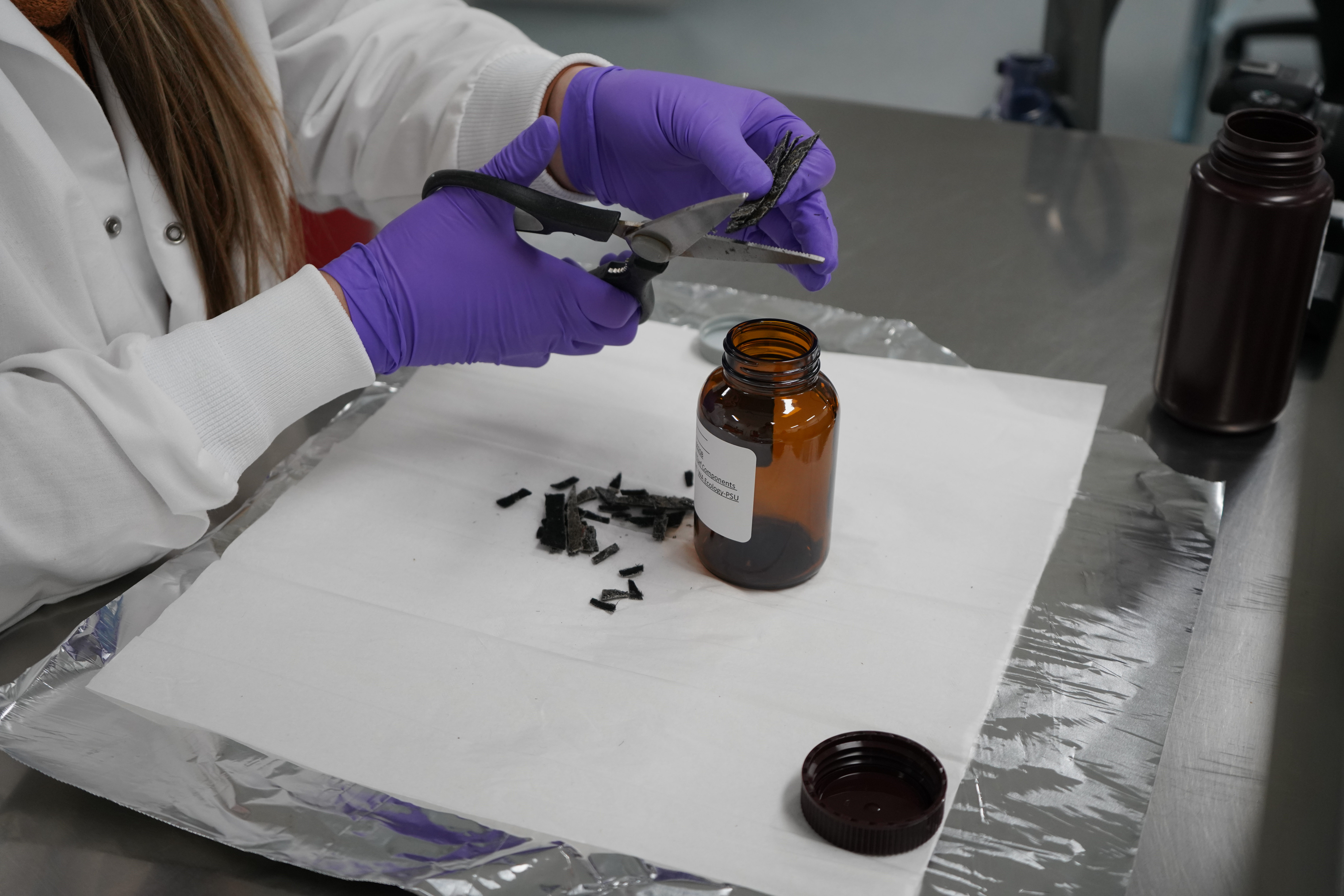 caption: A researcher with the Washington Department of Ecology cuts up samples of artificial turf backing for analysis in the Consumer Product Studies lab at the Washington Department of Ecology.