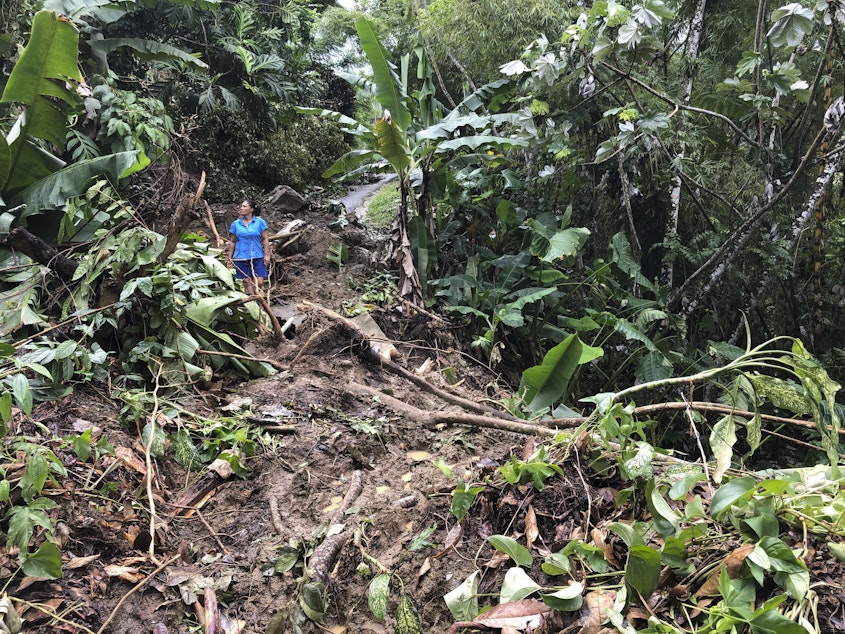 caption: Nancy Galarza looks Thursday at the damage that Hurricane Fiona inflicted on her community, which remained cut off days after the storm slammed the rural community of San Salvador in the town of Caguas, Puerto Rico.