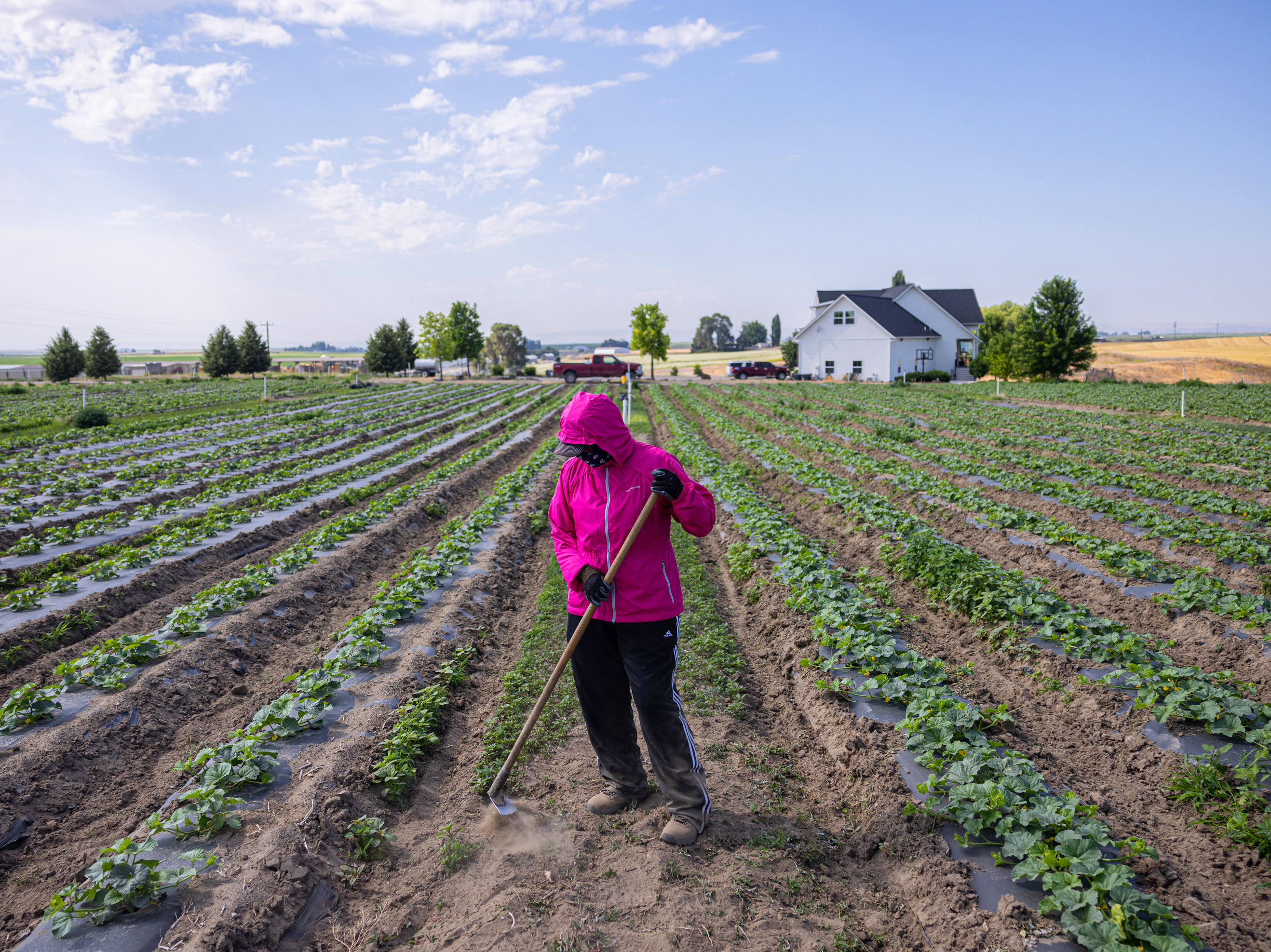caption: Patricia Mendoza says she was happy when she first heard that farmworkers would be eligible for overtime. She didn't anticipate that she would lose hours as a result of the new law.