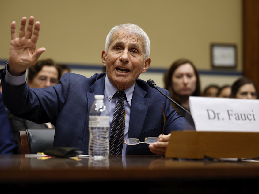 caption: Dr. Anthony Fauci testifies before the House Oversight and Accountability Committee Select Subcommittee on June 3.