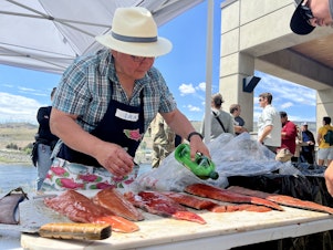 caption: Ira Stevenson preps salmon filets for the salmon bake after a First Salmon ceremony at Chief Joseph dam in north central Washington.