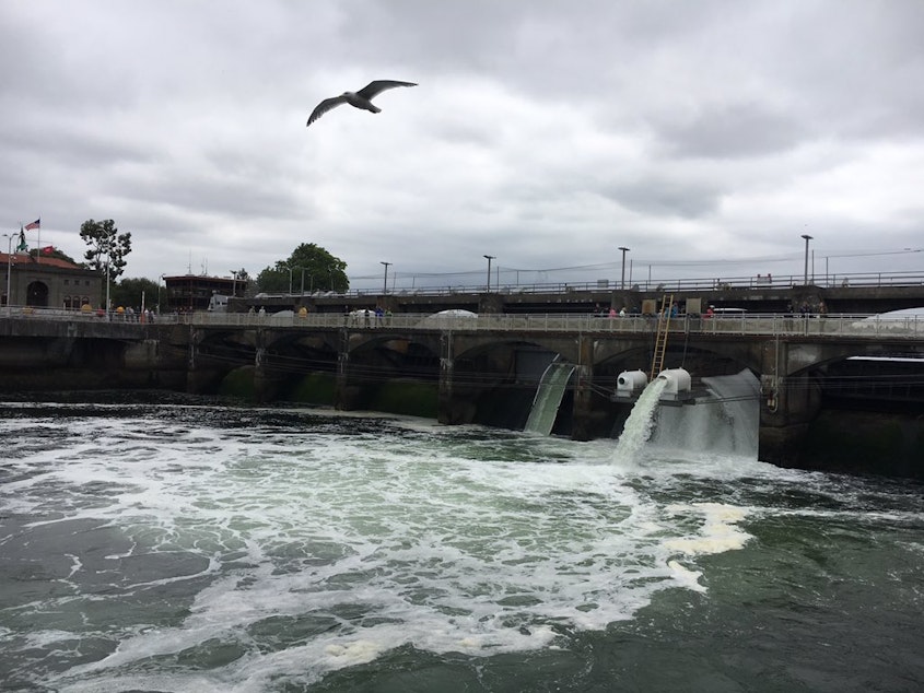 caption: The Ballard Locks, at the west end of the Lake Washington Ship Canal in Seattle.