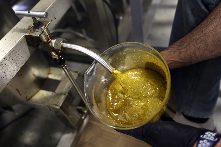 caption: The first rendering from hemp plants extracted from a super critical CO2 extraction device on its' way to becoming fully refined CBD oil spurts into a large beaker at New Earth Biosciences in Salem, Oregon. 