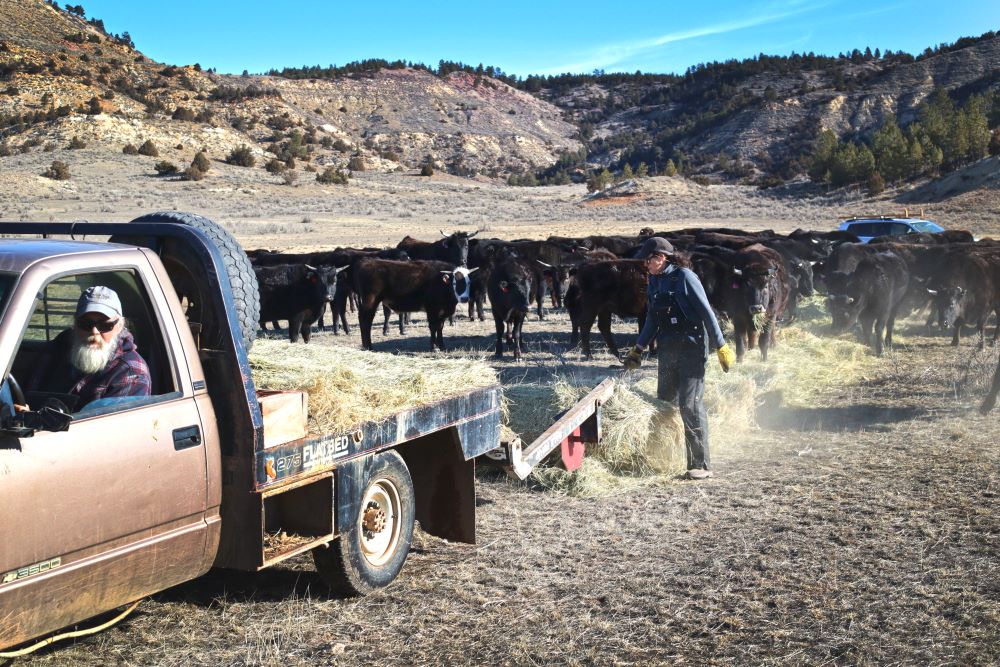 caption: Jeanie Alderson, a 4th generation rancher from Birney, Montana. (Credit: Northern Plains Resource Council)
