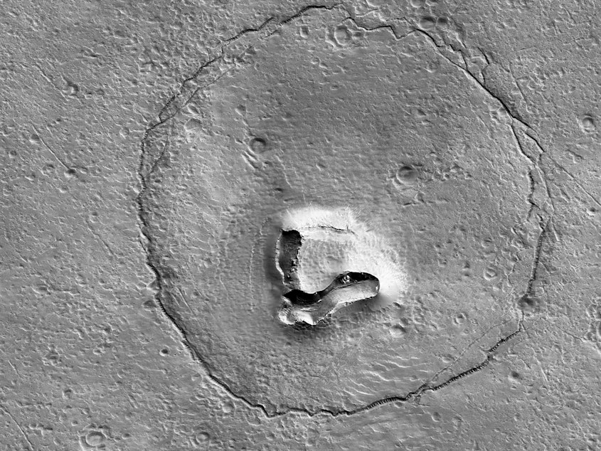 caption: The University of Arizona shared an image, pictured, of a formation on Mars that resembles a bear.