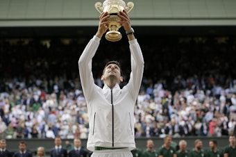 caption: Novak Djokovic celebrates after defeating Roger Federer in the men's singles final match of the Wimbledon Tennis Championships in London.