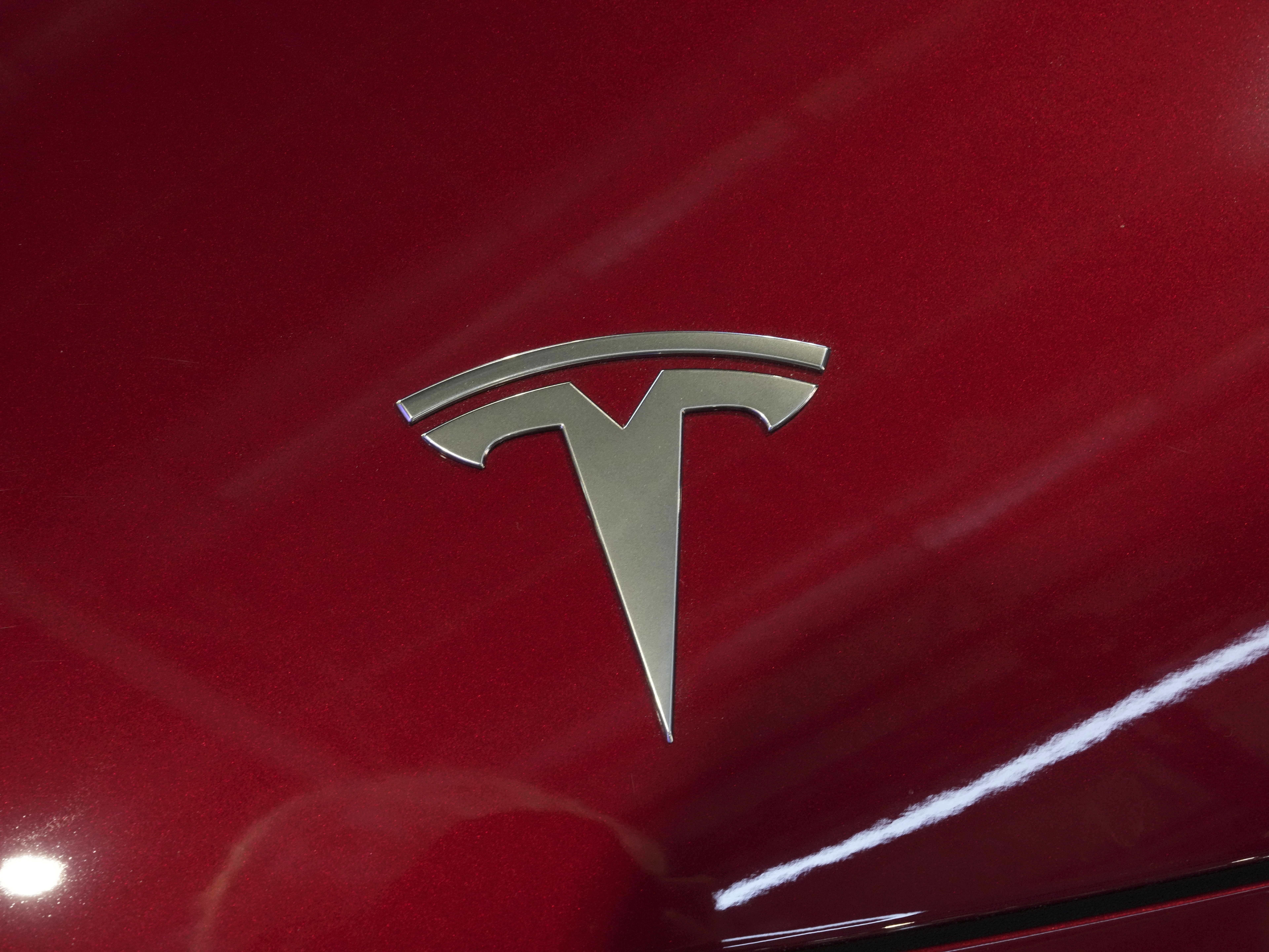caption: The logo of Tesla car is pictured at the Paris Auto Show, in Paris on Oct. 14, 2024.