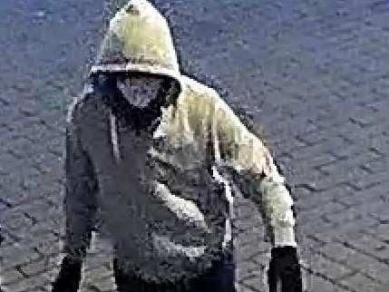 caption: The suspect who placed two pipe bombs outside of Democratic and Republican headquarters in Washington, D.C., did so the evening before the Jan. 6, attack on the Capitol, the FBI said.