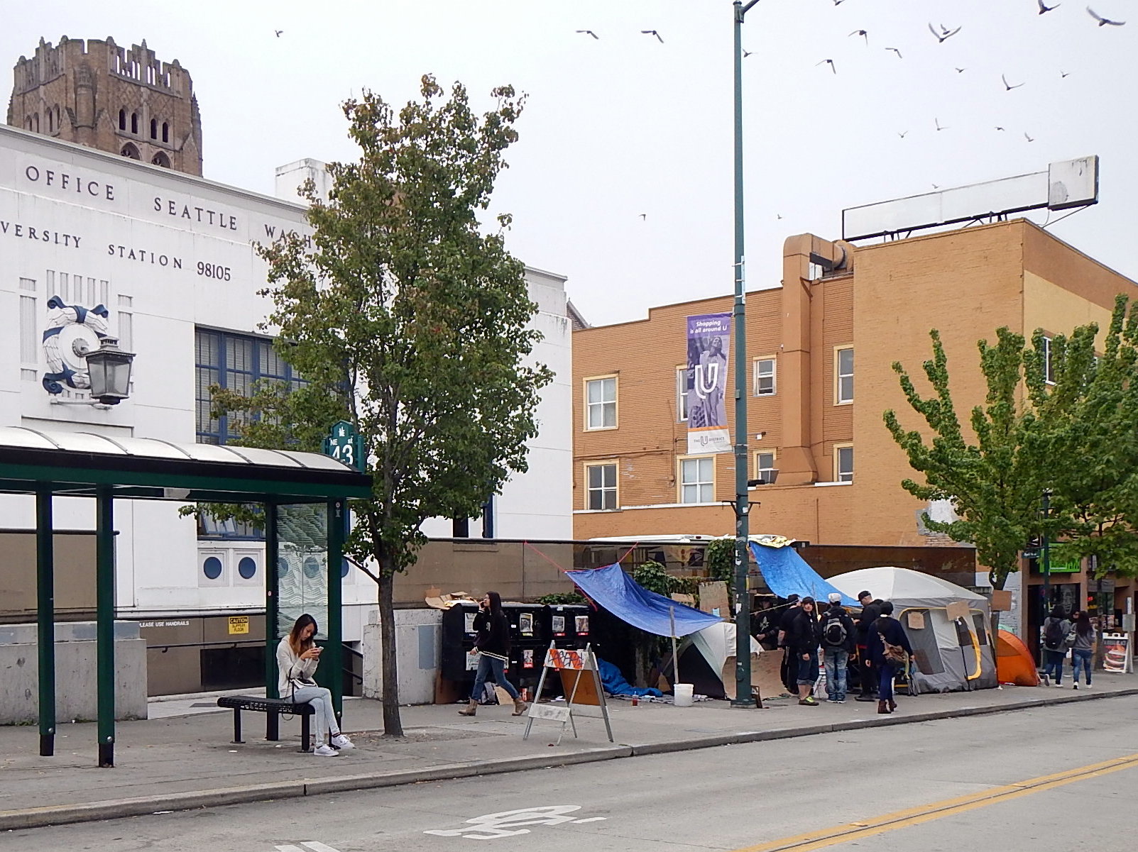 caption: A new homeless camp in Seattle's University District.