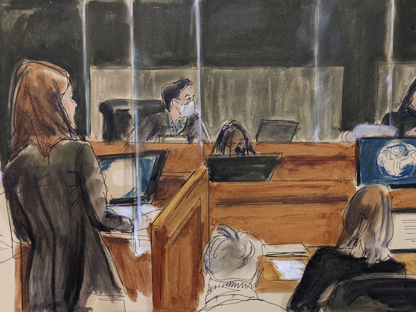 caption: A courtroom sketch show assistant U.S. attorney Alison Moe questioning an unidentified victim about her experiences with Jeffery Epstein and Ghislaine Maxwell, during Maxwell's sex-trafficking trial.