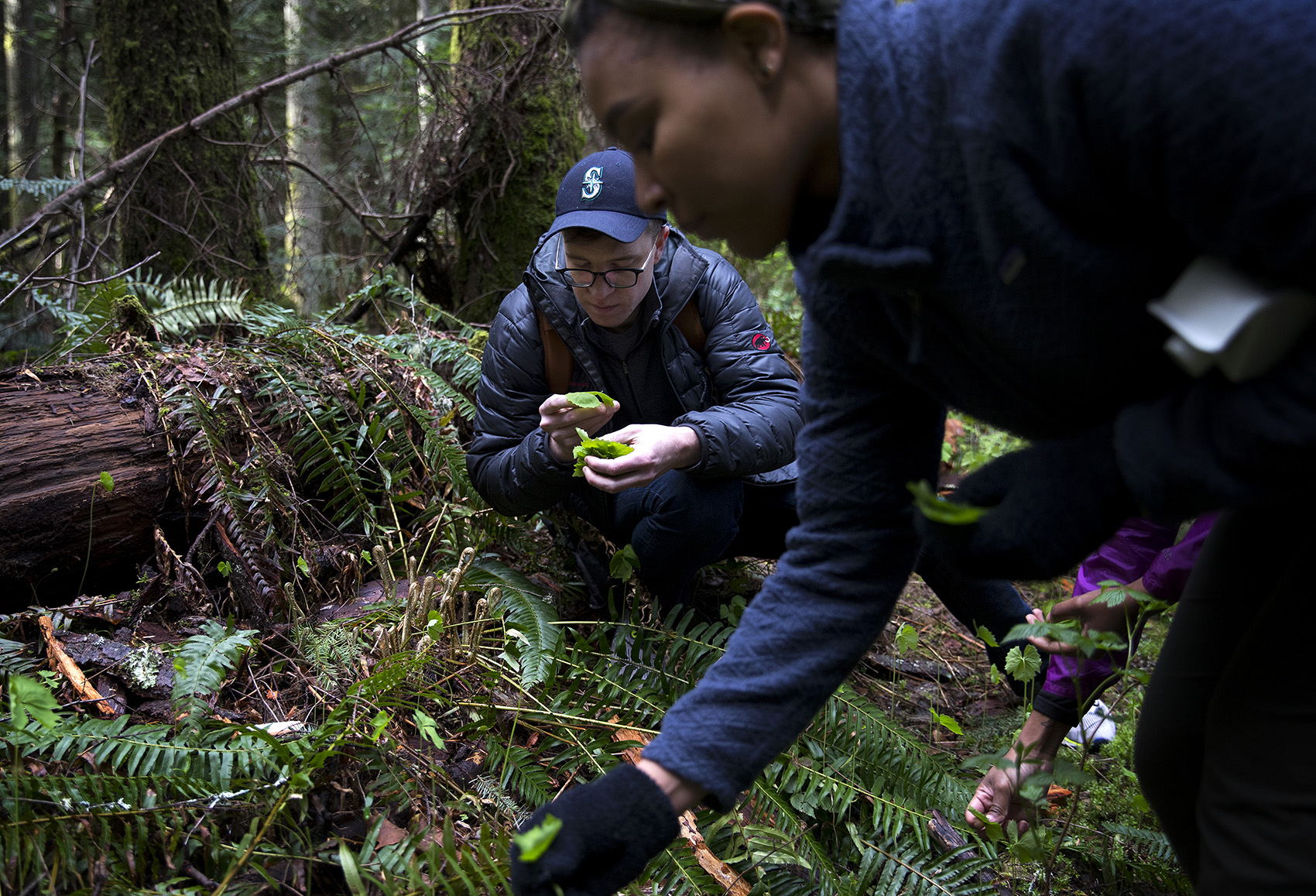 caption:  Salt & Straw co-founder and head ice cream maker, Tyler Malek, harvests vanilla leaf plants with Yamonie Chaney, shop manager at Salt & Straw's Ballard location, right, on Monday, April 15, 2019, along the Tiger Mountain Trail in Issaquah. 