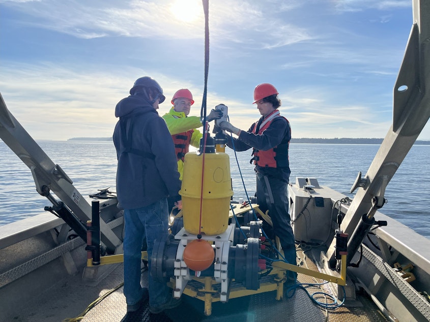 caption: SMRU science consultants and Gravity Marine staff attach an acoustic release to the hydrophone in Useless Bay. The hydrophone collects data on the intensity of noise pollution.
