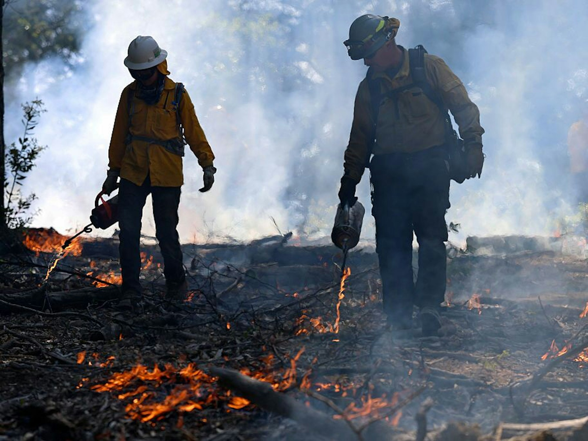 Trump administration falls behind on wildfire prevention with risky fire season ahead