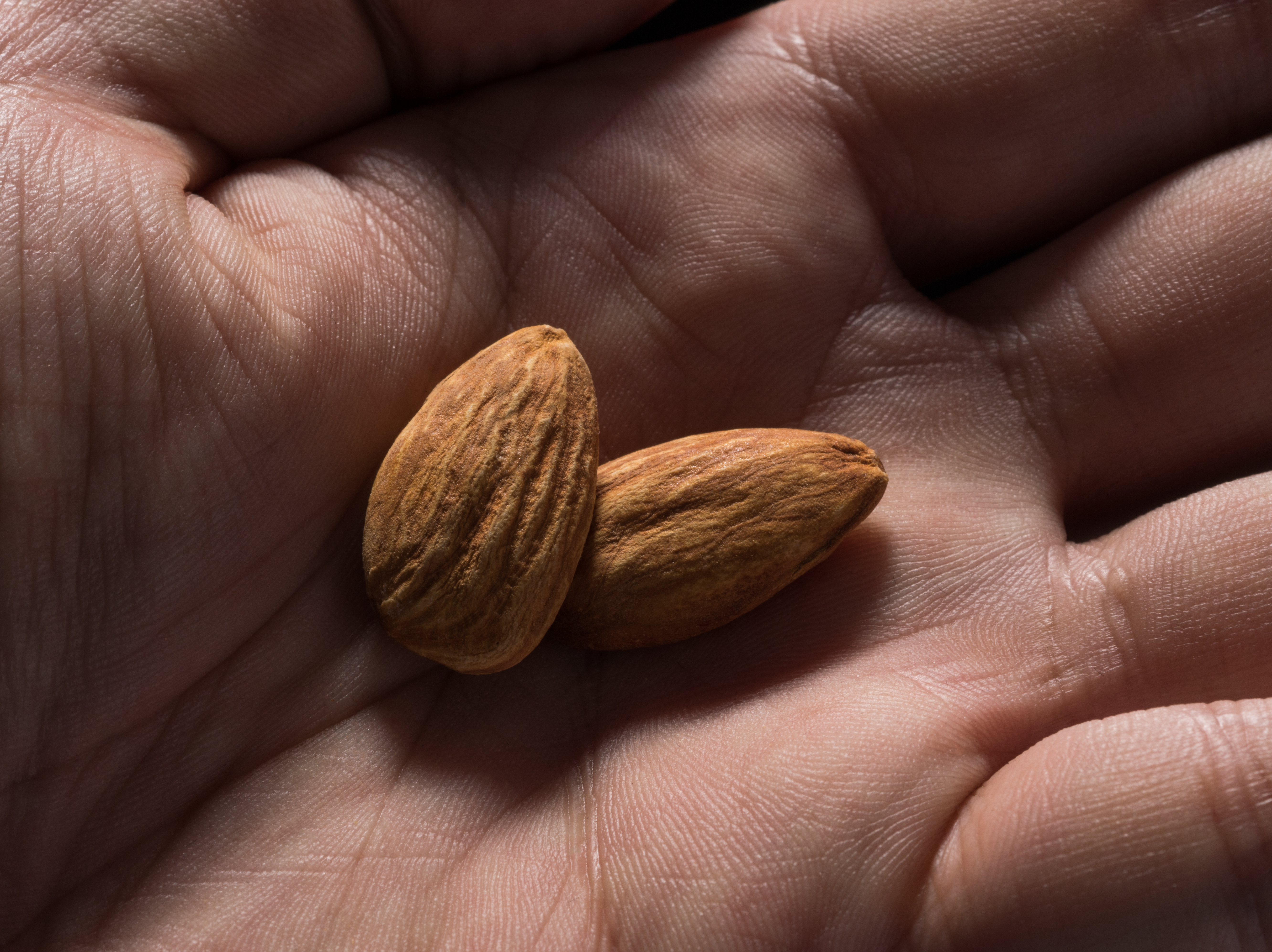 Consider the almond.
