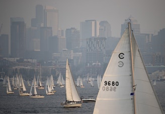 caption: Sailboats crowd Lake Union during Duck Dodge on Tuesday, August 14, 2018, as seen from Gas Works Park in Seattle. Seaplanes do not land on Lake Union during Duck Dodge. 