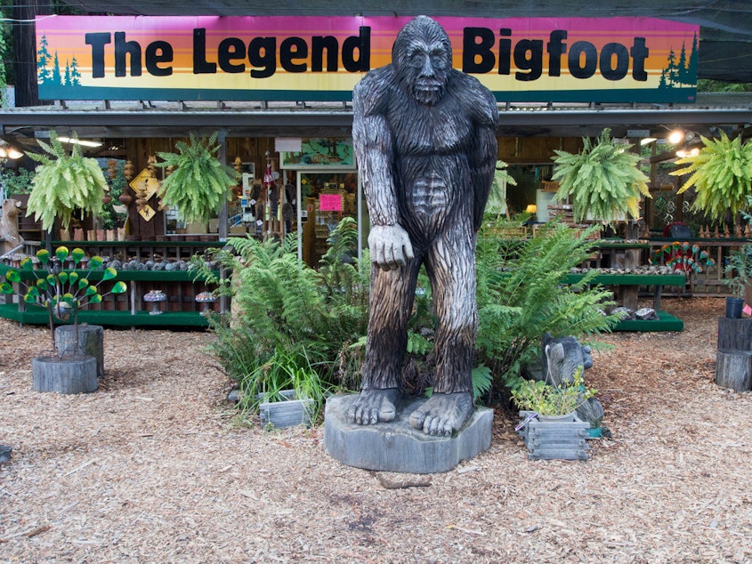 caption: "The Legend of Bigfoot" is a store along Highway 101 in northern California.
