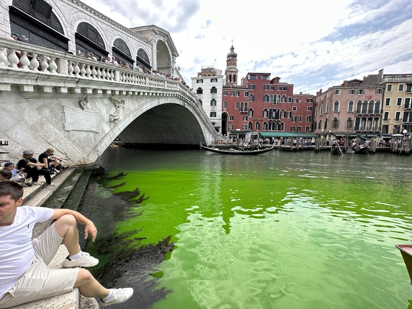 caption: Police in Venice, Italy, are investigating the source of a bright green liquid patch that appeared on Sunday in the city's Grand Canal.