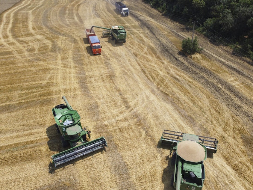 caption: Farmers use combines to harvest a wheat field in July 2021 near the village Tbilisskaya, Russia. Russia accounts for 30% of global wheat exports.