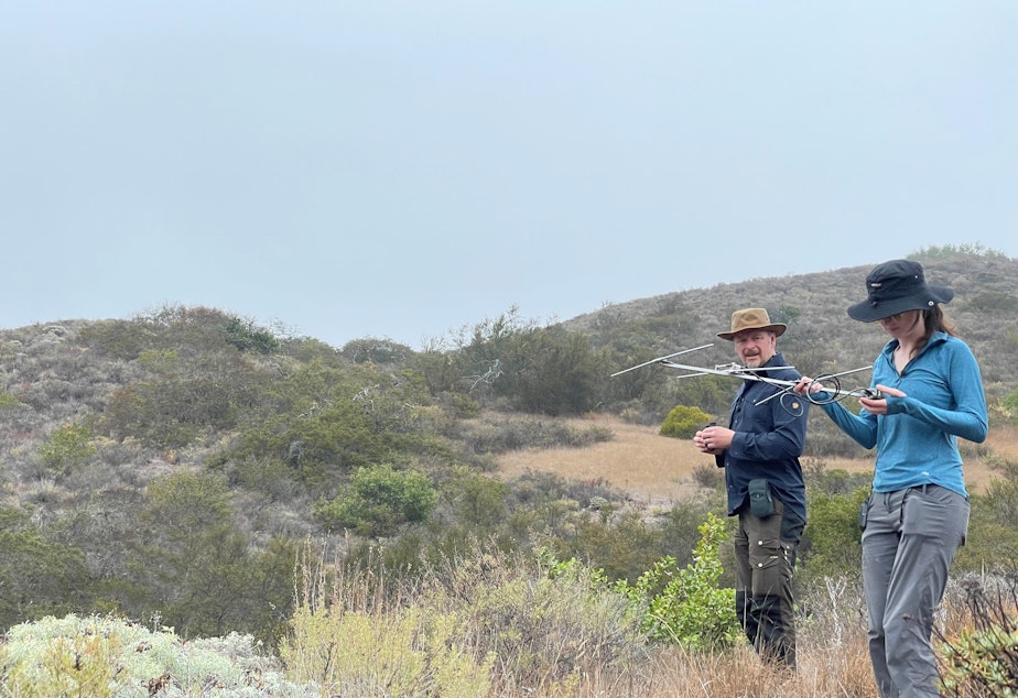 caption: Host Chris Morgan and biologist Lara Brenner track a fox with a radio collar on Santa Cruz island.