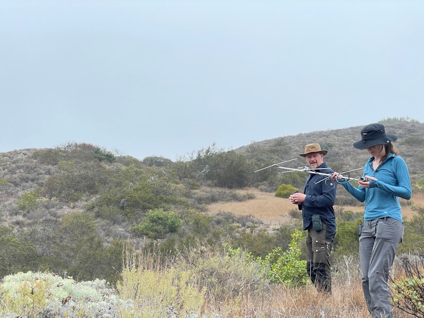 caption: Host Chris Morgan and biologist Lara Brenner track a fox with a radio collar on Santa Cruz island.