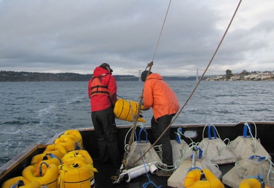 The crew of the research vessel Chasina gets ready to drop an acoustic telemetry receiver 300 feet down into Puget Sound. The device will record tagged steelhead as they swim out of their spawning rivers.