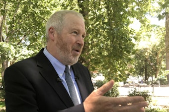 caption: On Wednesday at Denny Park, former Mayor Mike McGinn revealed a new tax plan in the Seattle mayor's race
