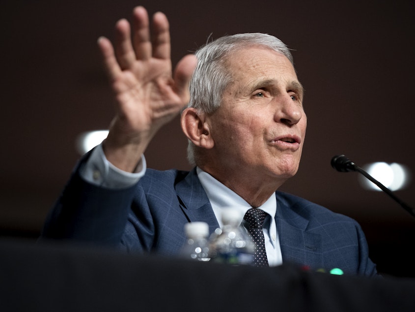 caption: Dr. Anthony Fauci, White House chief medical advisor and director of the NIAID, testifies at a Senate Health, Education, Labor, and Pensions Committee hearing on Capitol Hill, last week.