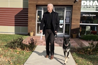 caption: President-elect Joe Biden at the Delaware Human Society on Nov. 17, 2018, the day he officially adopted his dog, Major.