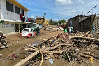 caption: A river carried mud and downed trees in the Zapata neighborhood on the outskirts of the city of Acapulco, Mexico, after Hurricane Otis swept through the area.